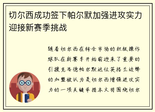 切尔西成功签下帕尔默加强进攻实力迎接新赛季挑战